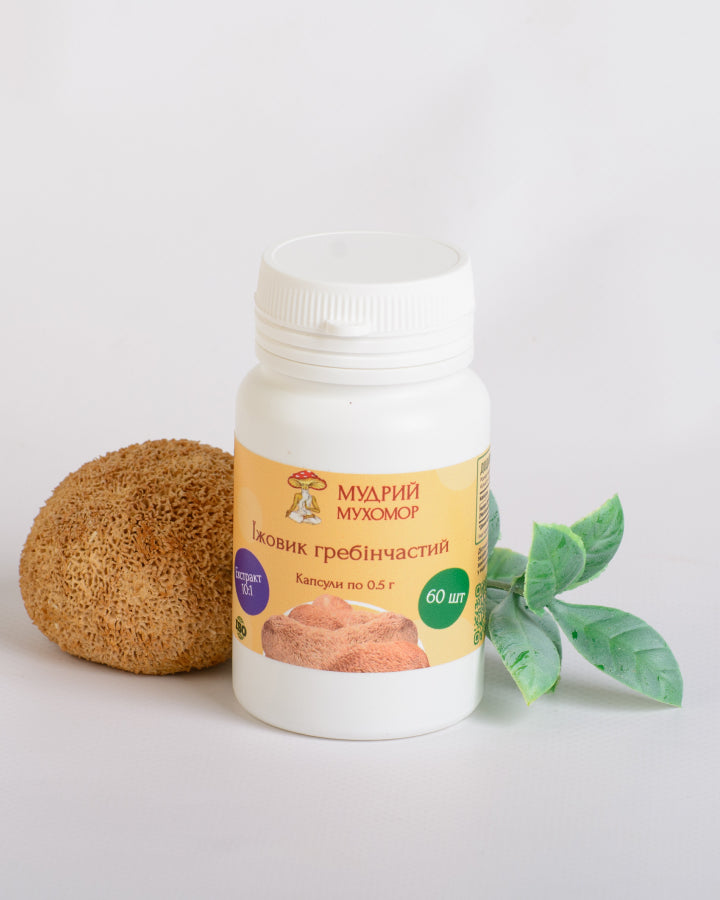 Екстракт Їжовика гребінчастого 10:1 у капсулах по 0.5 г