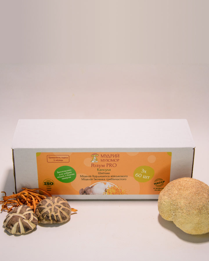 Розум PRO — набір із трьох баночок