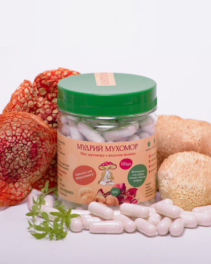 Мікс міцелію Їжовика з Мухомором червоним, 120 капсул по 0.5 г