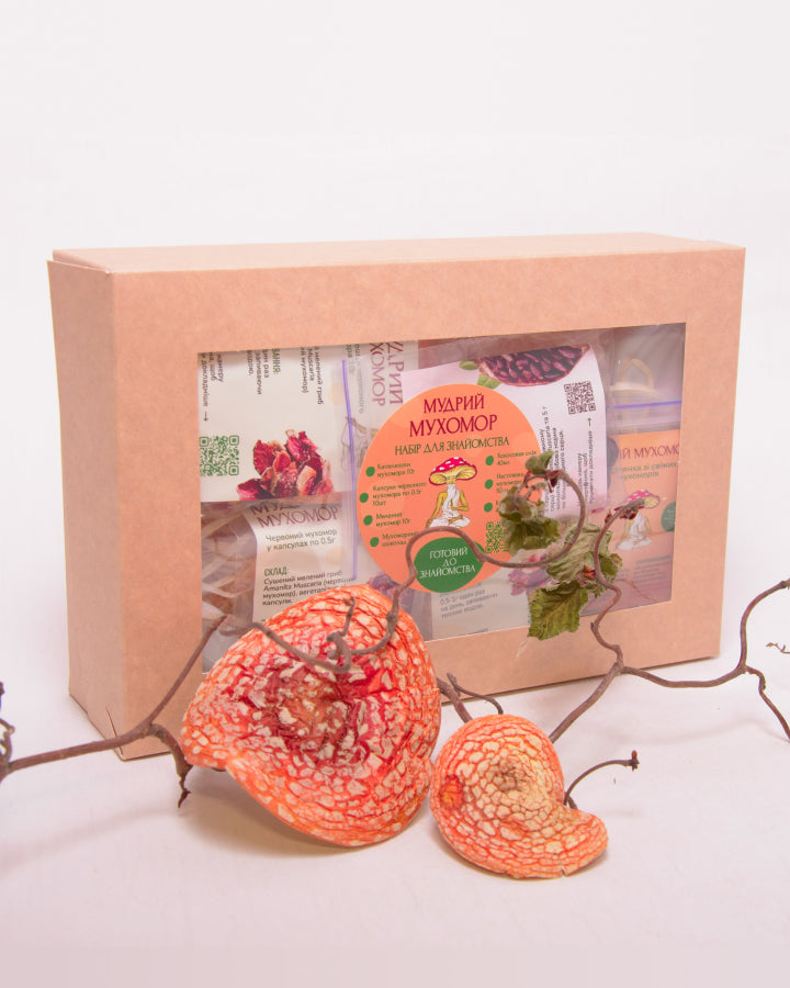 LITE - набір новачка