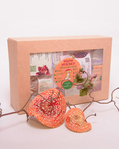 LITE - набір новачка