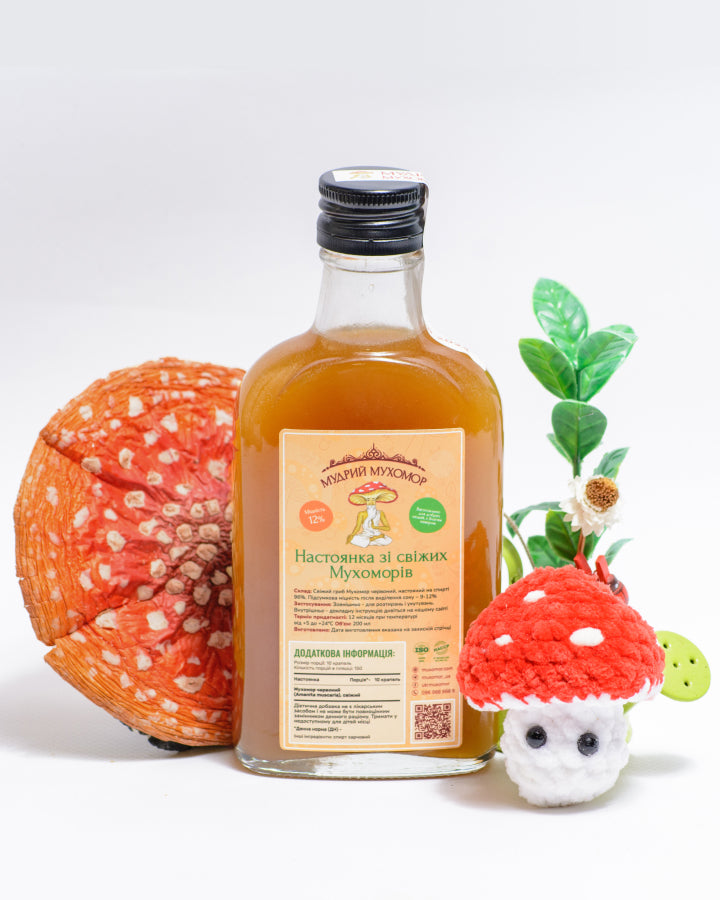 Мухомор червоний, настоянка зі свіжих капелюшків