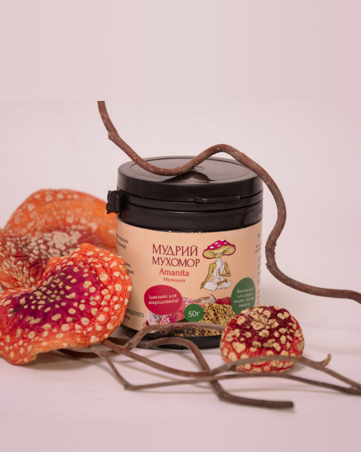 Мухомор червоний, капелюшки мелені