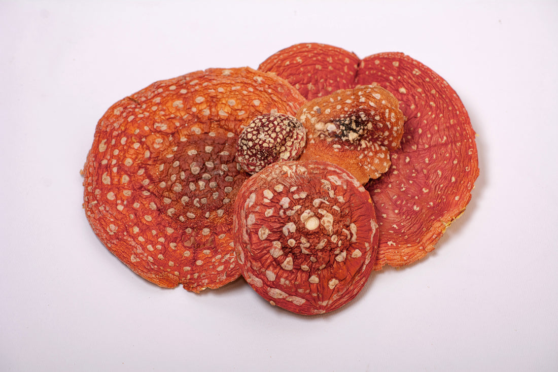 Мухомор червоний капелюшки, 50 г