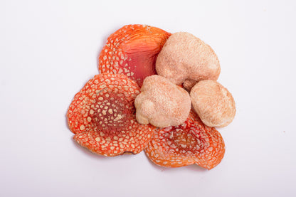 Мікс міцелію Їжовика з Мухомором червоним, 120 капсул по 0.5 г