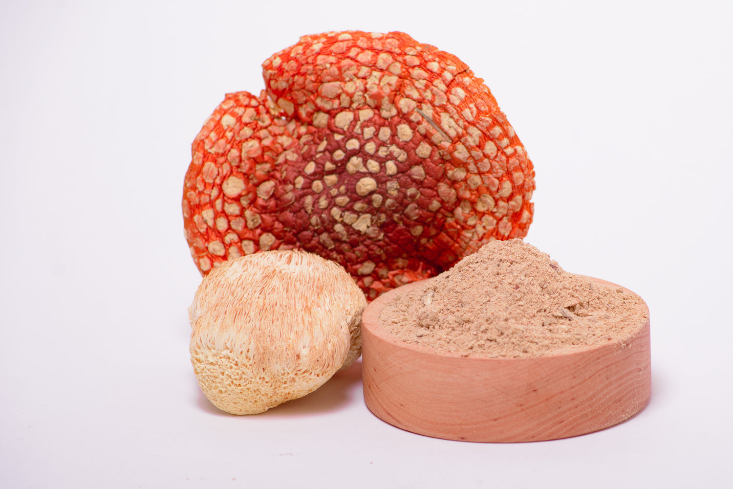 Мікс міцелію Їжовика з Мухомором червоним, мелений