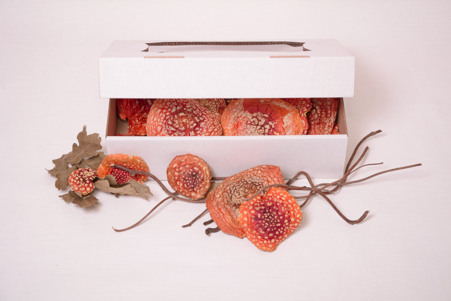 VIP капелюшки Мухомора червоного