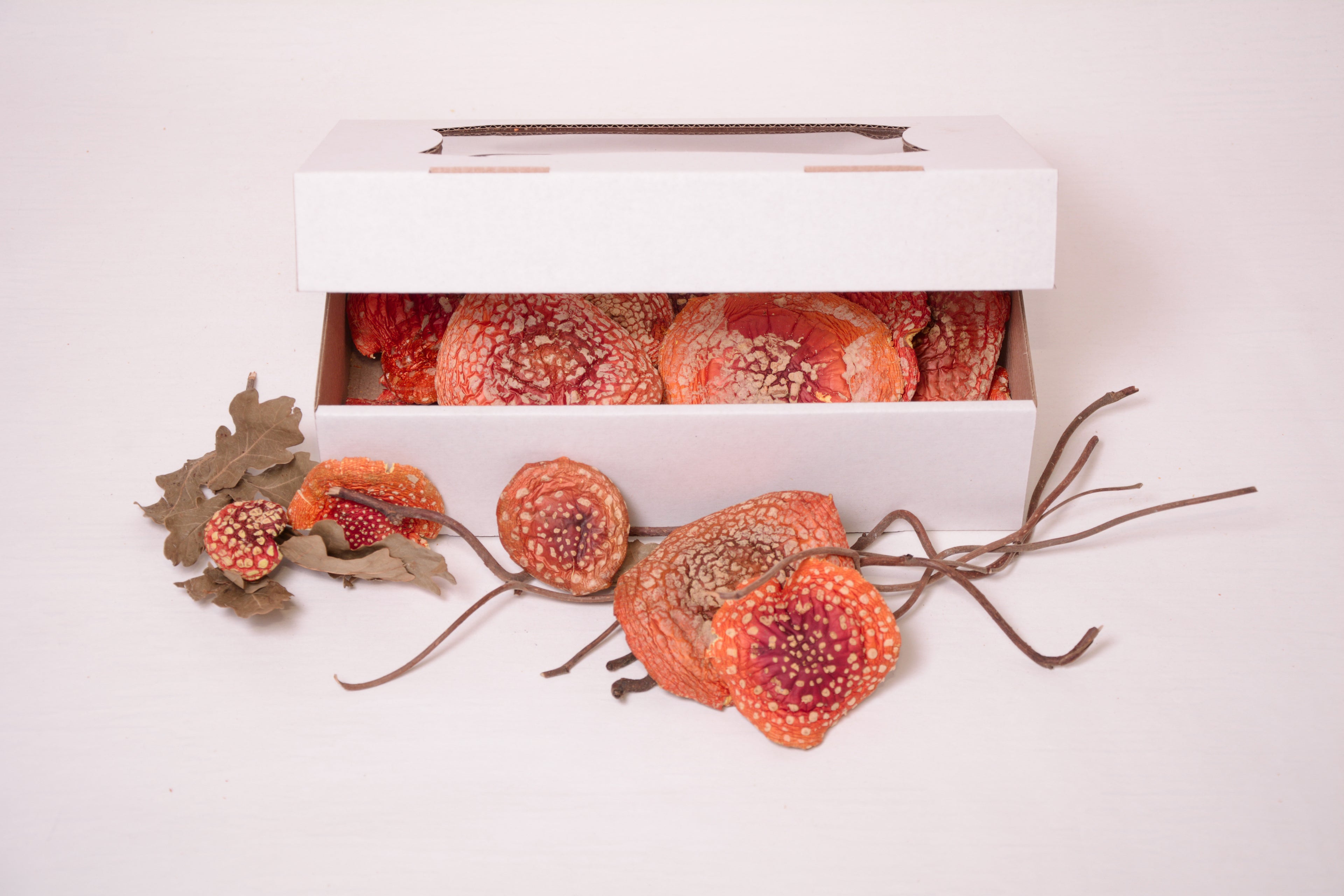 VIP капелюшки Мухомора червоного