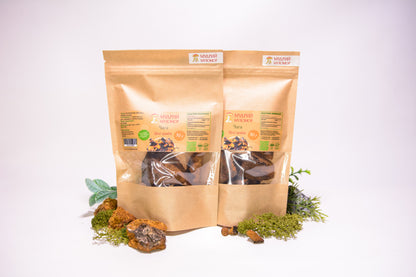 Березова Чага ціла