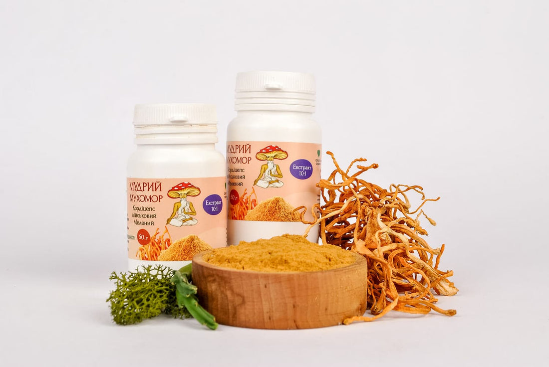 Екстракт Кордицепса військового 10:1 мелений