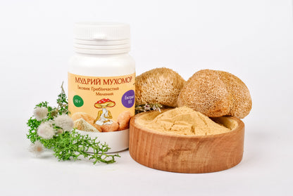 Екстракт Їжовика гребінчастого 10:1 мелений