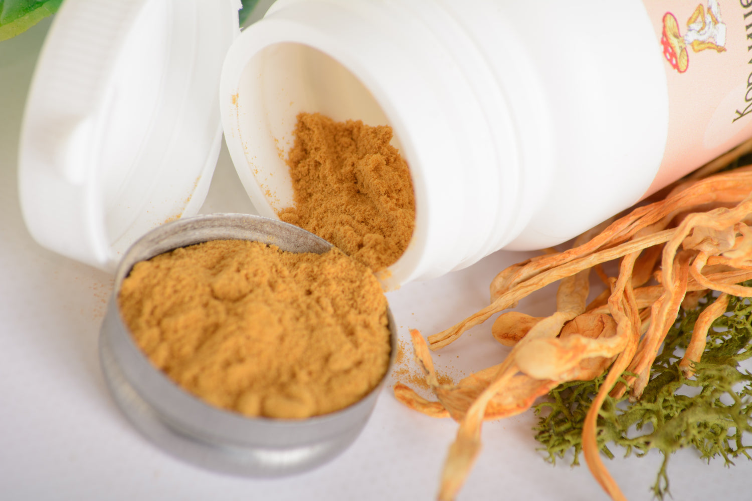 Екстракт Кордицепса військового 10:1 мелений